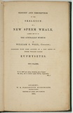 Title: History and description of the skeleton of a new sperm whale lately set up in the Australian Museum - together with some account of a new genus of sperm whale called euphysetes | Date: 1851 | Technique: lithographs, printed in black ink, each from one stone; letter-press text