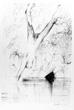 Artist: BOYD, Arthur | Title: (Diving figure). | Date: (1978) | Technique: lithograph, printed in black ink, from one stone [or plate]