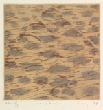 Artist: b'KING, Martin' | Title: b'Rainshadow' | Date: 1998, March | Technique: b'aquatint, printed in colour, from one plate; chine colle'