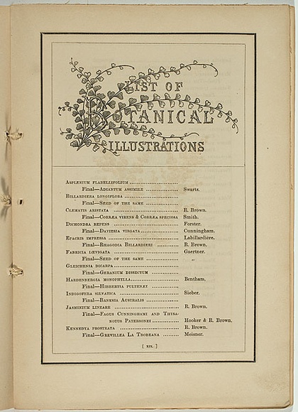 Title: b'not titled [asplenium flabellifolium, list of illustrations].' | Date: 1861 | Technique: b'woodengraving, printed in black ink, from one block'