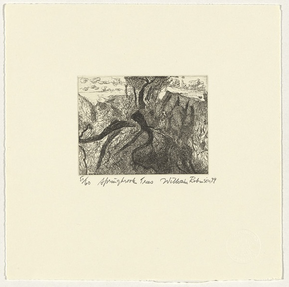 Artist: b'Robinson, William.' | Title: b'Springbrook trees' | Date: 1999 | Technique: b'etching, printed in black ink, from one plate'