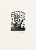 Artist: Frazer, David. | Title: Martin Flanagan | Date: c.2001 | Technique: wood-engraving, printed in black in, from one block