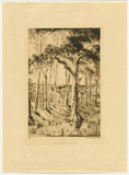 Artist: b'van RAALTE, Henri' | Title: b'Summer light on the hills' | Date: c.1927 | Technique: b'drypoint, printed in black ink, from one plate'