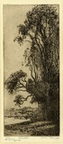 Artist: b'Farmer, Helen.' | Title: b'Sunlit.' | Date: 1926 | Technique: b'etching, printed in black ink with plate-tone, from one plate'