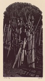 Artist: b'Atkins, Ros.' | Title: b'Fitzroy Community Garden' | Date: 1999, January | Technique: b'wood engraving, printed in black ink, from one block'