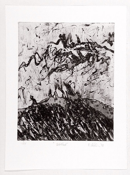 Artist: b'Vidler, Karen.' | Title: b'not titled.' | Date: 1988 | Technique: b'etching, printed in black ink, from one plate'