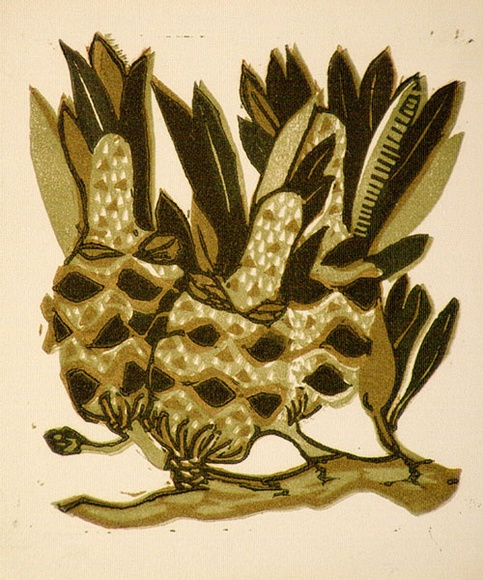 Artist: b'OGILVIE, Helen' | Title: b'Greeting card: Banksia. (Print designed as christmas card).' | Date: c.1951 | Technique: b'linocut, printed in colour, from multiple blocks'