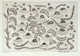 Artist: b'Laurel, Mabel Papayi.' | Title: b'Two bush foods, mussels and witchetty grubs' | Date: 2001, August - September | Technique: b'etching, printed in black ink, from one plate'