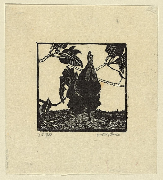 Artist: b'OGILVIE, Helen' | Title: b'The black rooster' | Date: 1935 | Technique: b'wood-engraving, printed in black ink, from one block'
