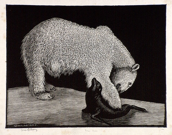 Artist: b'LINDSAY, Lionel' | Title: b'Polar Bear' | Date: 1931 | Technique: b'wood-engraving, printed in black ink, from one block' | Copyright: b'Courtesy of the National Library of Australia'