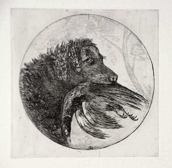 Artist: b'SIDMAN, William' | Title: b'The retriever with pheasant' | Date: 1912, October | Technique: b'etching, printed in black ink with plate-tone, from one copper plate'