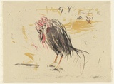 Artist: MACQUEEN, Mary | Title: Minorca cock | Date: 1970 | Technique: lithograph, printed in colour, from multiple plates | Copyright: Courtesy Paulette Calhoun, for the estate of Mary Macqueen