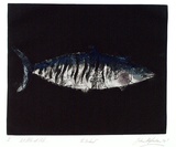 Artist: b'Shepherdson, Gordon.' | Title: b'The Mackerel: Number two' | Date: 1979 | Technique: b'etching and aquatint, printed in colour with plate-tone, from one plate'