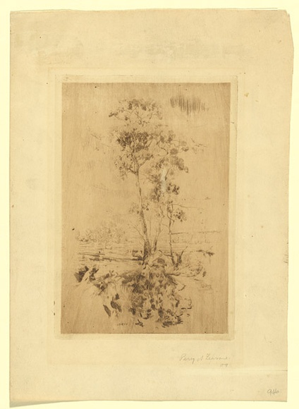 Artist: b'Leason, Percy.' | Title: b'no title (tall gum trees)' | Date: 1909 | Technique: b'drypoint, etching printed in brown ink with plate-tone, from one plate' | Copyright: b'Permission granted in memory of Percy Leason'