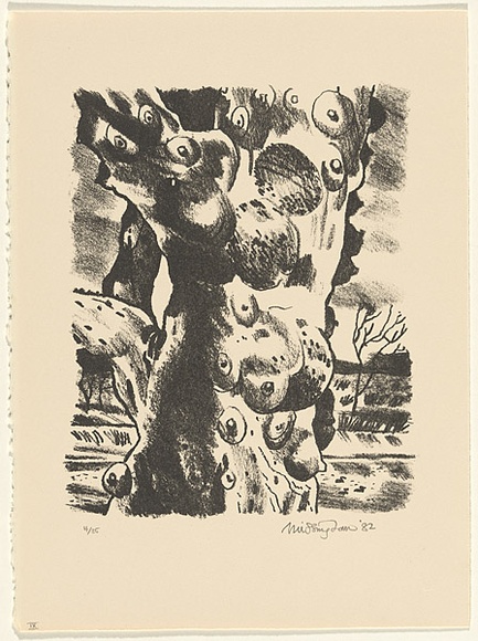 Title: b'Narrina Gorge' | Date: 1982 | Technique: b'lithograph, printed in black ink, from one stone'