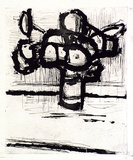 Artist: b'MADDOCK, Bea' | Title: b'Flowers' | Date: 1961 | Technique: b'line-etching and sugarlift aquatint, printed in black ink, from one zinc plate'