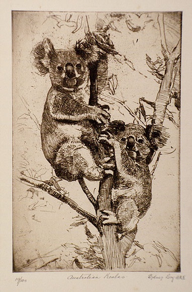 Artist: b'LONG, Sydney' | Title: b'Australian koalas' | Date: 1928, after | Technique: b'etching, printed in brown ink with plate-tone, from one plate' | Copyright: b'Reproduced with the kind permission of the Ophthalmic Research Institute of Australia'
