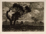 Artist: b'Mather, John.' | Title: b'Evening, Dandenong' | Date: 1893 | Technique: b'etching, printed in brown ink with plate-tone, from one plate'