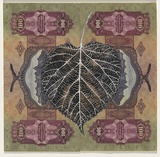 Artist: HALL, Fiona | Title: Tilia platyphyllos - Large-leaved lime (Hungarian currency) | Date: 2000 - 2002 | Technique: gouache | Copyright: © Fiona Hall
