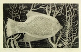 Artist: Allen, Joyce. | Title: Fish. | Date: (1960-62) | Technique: etching and aquatint printed in black ink with plate-tone, from one  plate
