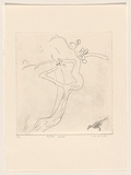 Title: b'Hakea bush' | Date: 1983 | Technique: b'drypoint, printed in black ink, from one perspex plate'