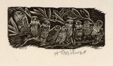 Artist: OGILVIE, Helen | Title: (Nine owls resting on a branch) | Date: (1953) | Technique: wood-engraving, printed in black ink, from one block