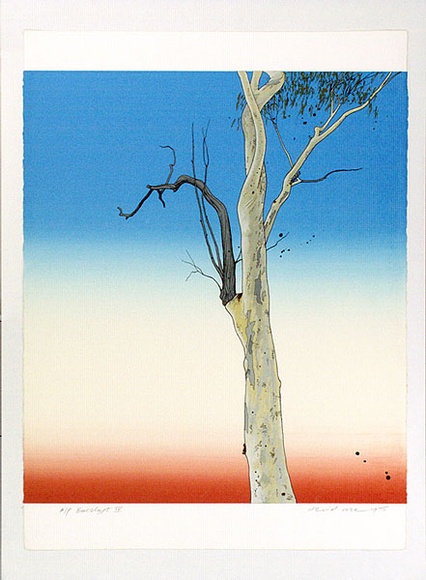 Artist: b'Rose, David.' | Title: b'Eucalypt IV' | Date: 1975 | Technique: b'screenprint, printed in colour, from multiple stencils'