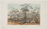 Artist: Angas, George French. | Title: Eagle-Hawk Gully. Bendigo. | Date: 1852 | Technique: lithograph, printed in colour, from three stones