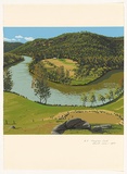 Artist: b'Rose, David.' | Title: b'Mangrove Creek' | Date: 1984 | Technique: b'screenprint, printed in colour, from multiple stencils'