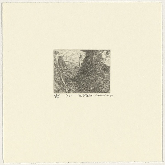 Artist: b'Robinson, William.' | Title: b'Springbrook 2' | Date: 1999 | Technique: b'etching, printed in brown ink, from one plate'