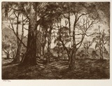 Artist: b'Stockfeld, R.H.' | Title: b'Rural scene, landscape gums' | Date: c.1935 | Technique: b'etching, printed in black ink, from one plate'