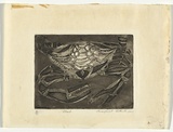 Artist: Cilento, Margaret. | Title: Crab. | Date: 1948 | Technique: etching and aquatint, printed in black ink, from one plate