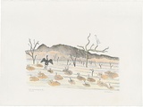 Artist: Bradhurst, Jane. | Title: Darter, egret and lily pond, Kimberley. | Date: 1997 | Technique: lithograph, printed in black ink, from one stone; hand-coloured in watercolour