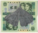 Artist: b'HALL, Fiona' | Title: b'Gingko biloba - Gingko (Chinese currency)' | Date: 2000 - 2002 | Technique: b'gouache' | Copyright: b'\xc2\xa9 Fiona Hall'