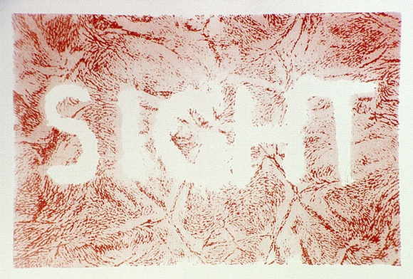 Artist: b'Lowe, Geoff.' | Title: b'Sight' | Date: 1986-87 | Technique: b'screenprint, lithograph and drawing'