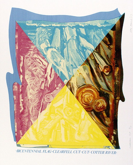 Artist: b'ARNOLD, Raymond' | Title: b'Clearfell cut.' | Date: 1987 | Technique: b'screenprint, printed in colour, from multiple stencils'