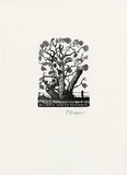 Artist: b'Frazer, David.' | Title: b'Martin Flanagan' | Date: c.2001 | Technique: b'wood-engraving, printed in black in, from one block'