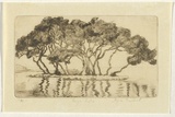 Artist: b'Bullock, Myra.' | Title: b'High tide.' | Date: c.1930 | Technique: b'etching, printed in brown ink, from one plate'