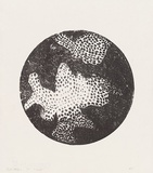 Artist: b'MEYER, Bill' | Title: b'Circle' | Date: 1971 | Technique: b'lithograph, printed in black ink, from one stone' | Copyright: b'\xc2\xa9 Bill Meyer'