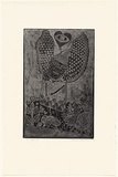 Artist: HANRAHAN, Barbara | Title: The angel | Date: 1989-90 | Technique: relief-etching, printed in black ink, from one plate