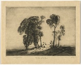 Artist: b'LINDSAY, Lionel' | Title: b'The edge of the plain, NSW' | Date: 1918 | Technique: b'drypoint, printed in black ink with plate-tone with wiped hightlights, from one plate' | Copyright: b'Courtesy of the National Library of Australia'