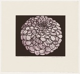 Artist: b'Forthun, Louise.' | Title: b'Valentine' | Date: 2001 | Technique: b'etching, printed in purple ink, from one copper plate'