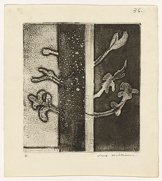 Artist: b'WILLIAMS, Fred' | Title: b'Design for a programme cover' | Date: 1954-66 | Technique: b'deep etching, aquatint, engraving, printed in relief in black ink, from one zinc plate' | Copyright: b'\xc2\xa9 Fred Williams Estate'