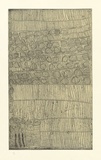 Artist: b'WARLAPINNI, Freda' | Title: b'not titled' | Date: 1999 | Technique: b'hardground-etching, printed in two colours, from one copper plate'