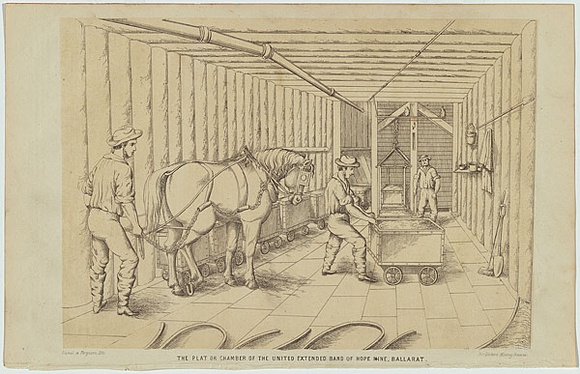 Artist: b'Hamel, Julius.' | Title: b'The plat or chamber of the United Extended Band of Hope Mine, Ballarat.' | Date: 1867 | Technique: b'lithograph, printed in colour, from two stones'