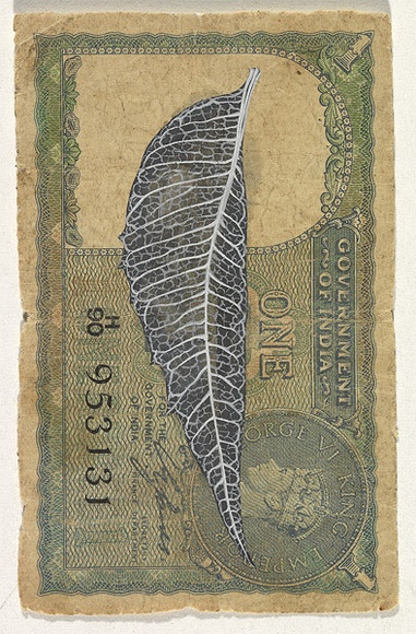 Artist: b'HALL, Fiona' | Title: b'Azadirachta indica - Neem (Indian currency)' | Date: 2000 - 2002 | Technique: b'gouache' | Copyright: b'\xc2\xa9 Fiona Hall'