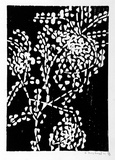 Artist: b'Grey-Smith, Guy' | Title: b'Karri forest foliage' | Date: 1975 | Technique: b'linocut, printed in black ink, from one block'