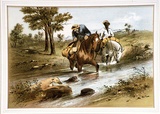 Artist: b'GILL, S.T.' | Title: b'Bush mailman' | Date: (1865) | Technique: b'lithograph, printed in colour, from multiple stones'