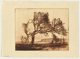 Artist: LONG, Sydney | Title: Dee Why landscape | Date: 1928 | Technique: line-etching, printed in red-brown ink with plate-tone, from one zinc plate | Copyright: Reproduced with the kind permission of the Ophthalmic Research Institute of Australia