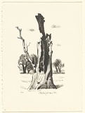 Title: Midland | Date: 1982 | Technique: lithograph, printed in black ink, from one stone